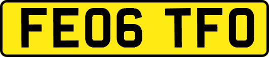 FE06TFO