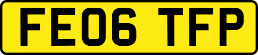 FE06TFP