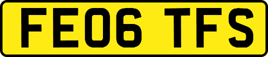 FE06TFS