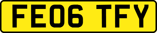 FE06TFY