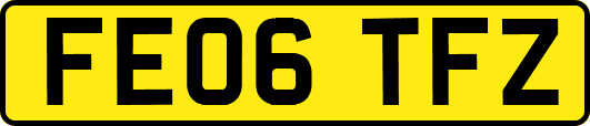 FE06TFZ