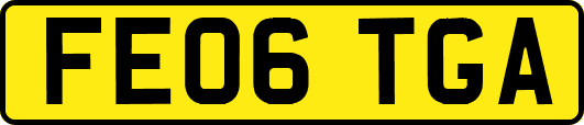 FE06TGA