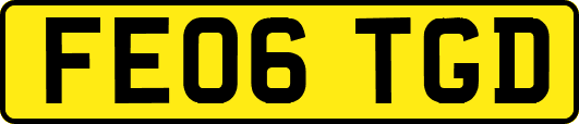 FE06TGD