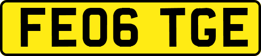 FE06TGE