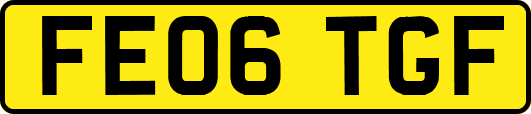 FE06TGF