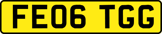 FE06TGG