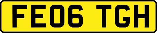 FE06TGH