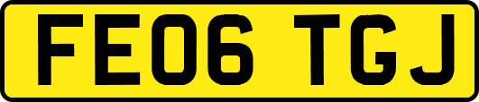FE06TGJ