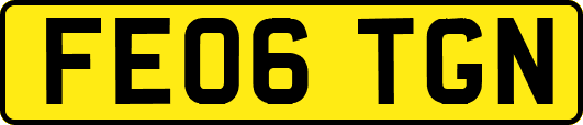 FE06TGN
