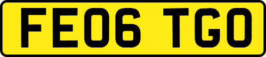 FE06TGO