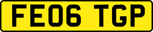 FE06TGP
