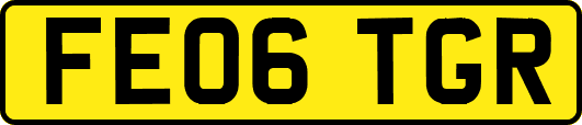 FE06TGR