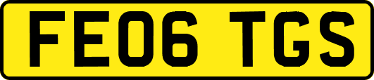 FE06TGS