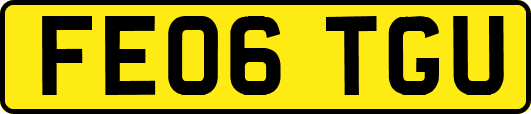FE06TGU