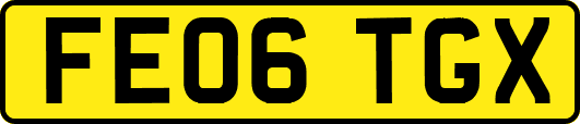 FE06TGX