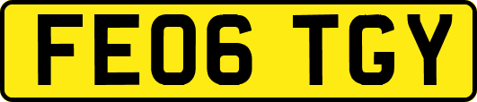 FE06TGY