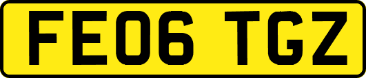 FE06TGZ