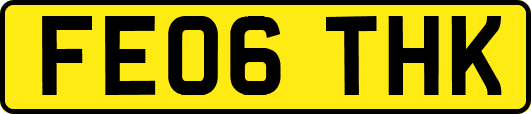 FE06THK