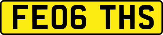 FE06THS