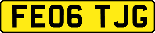 FE06TJG