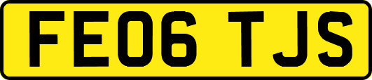 FE06TJS