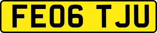 FE06TJU