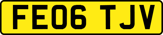 FE06TJV