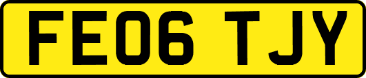 FE06TJY