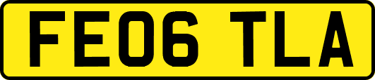 FE06TLA