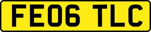 FE06TLC