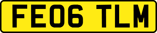 FE06TLM