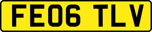 FE06TLV