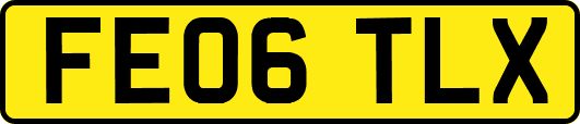 FE06TLX