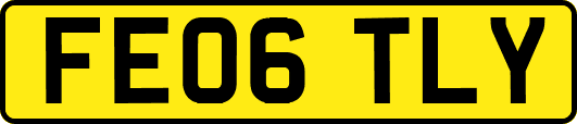 FE06TLY