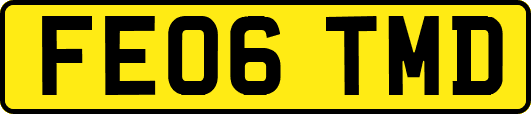FE06TMD