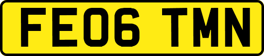 FE06TMN
