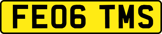 FE06TMS