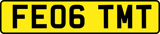 FE06TMT