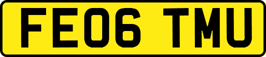 FE06TMU