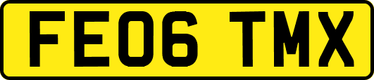 FE06TMX