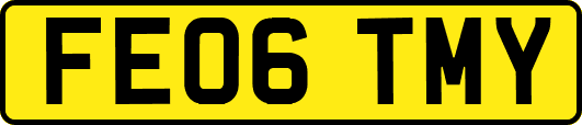 FE06TMY