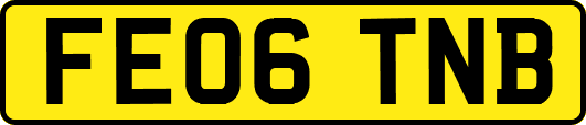 FE06TNB