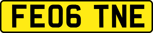 FE06TNE
