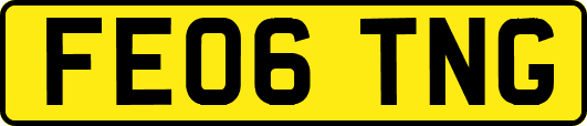 FE06TNG