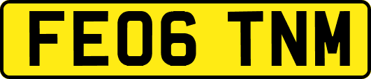 FE06TNM