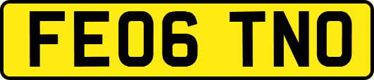 FE06TNO