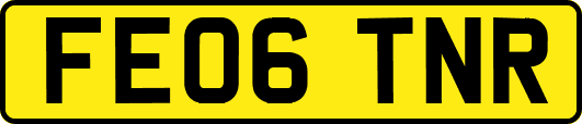 FE06TNR