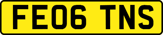 FE06TNS