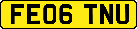 FE06TNU