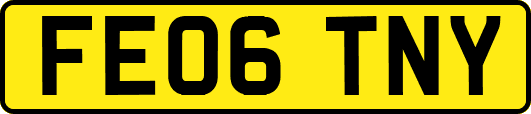 FE06TNY